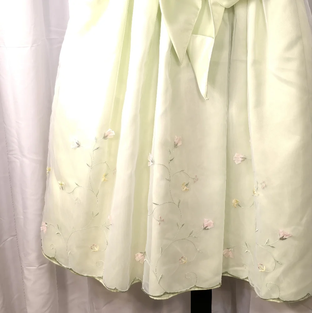 Elegant Light Green Sleeveless Spring or‎ Easter Dress